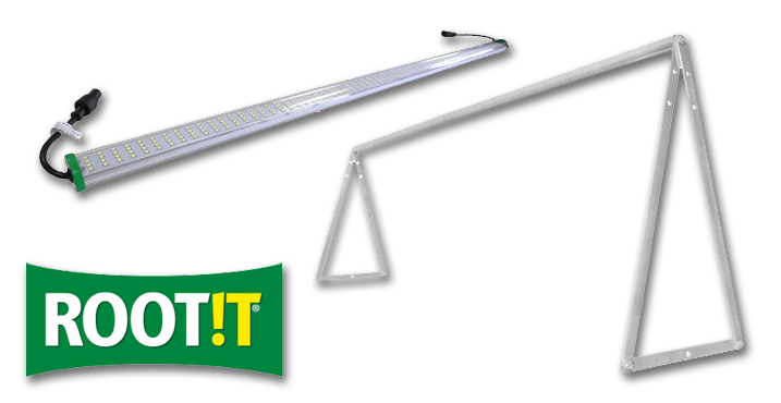 root-it-min