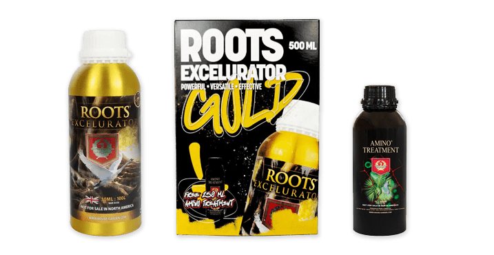 rootsexcelurator1-min