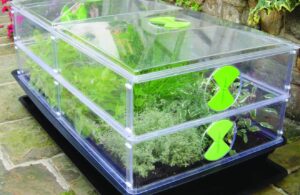 Vitopod Heated Propagators - Now Back in Stock!