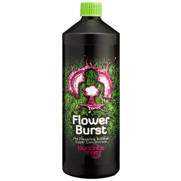 Buddhas Tree Flower Burst, Buddhas Tree, PK Supplements, Additives