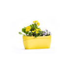 Plastia Flower Box Planter, Plastia, Plastic Pots and Trays, Planters & Containers, Grow Systems