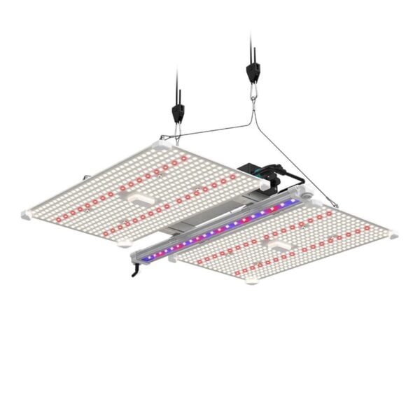 Lumii Black Blade 400W LED, Lumii, LED Lighting, LED Lighting