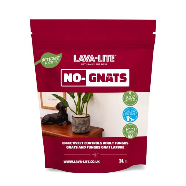 Lava-Lite No Gnats, Lava-Lite, Pest Control