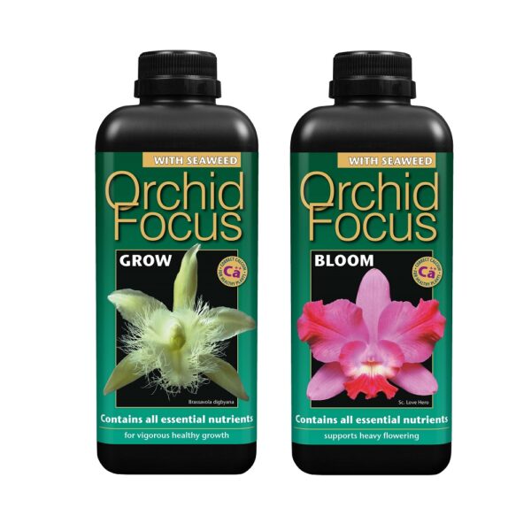 Orchid Focus Grow and Bloom, Growth Technology, Specialist Plant Feeds