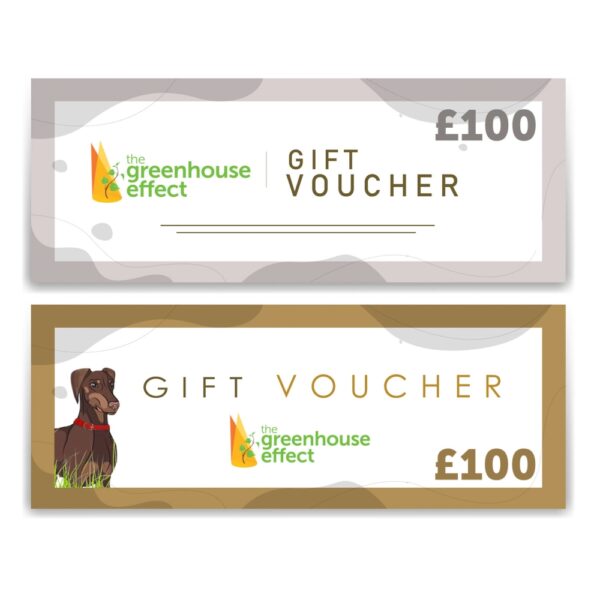 GIFT VOUCHER £100, Gift Vouchers