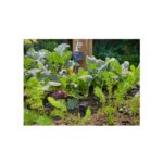 Gardena Smart Water Control, Water Controls and Pumps, Gardena, Smart System