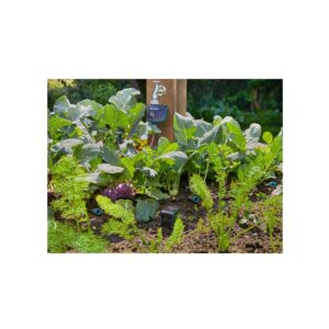 Gardena Smart Water Control, Water Controls and Pumps, Gardena, Smart System