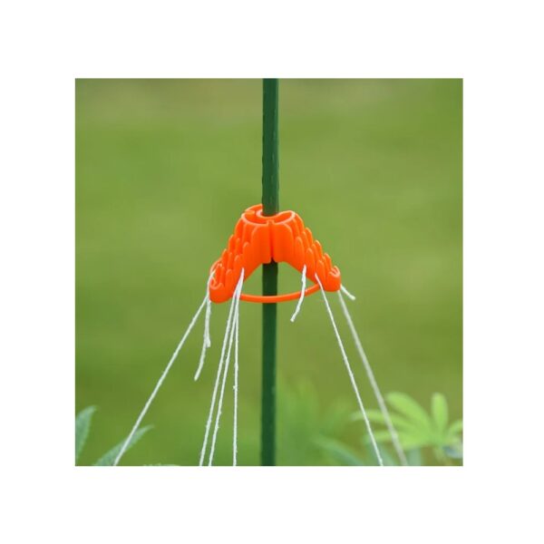 Stringy Thingy - Plant Support, Stringy Thingy, Plant Support