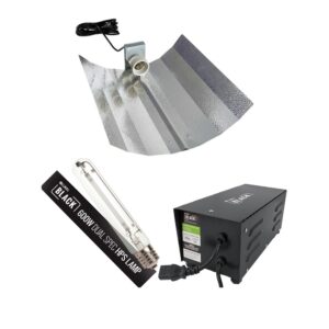 LUMii Black 600W Complete Lighting Kit, Lumii, Complete Lighting Kits