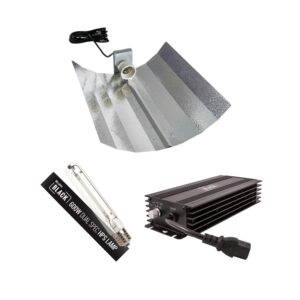LUMii Black 600W Electronic Complete Lighting Kit, Lumii, Complete Lighting Kits