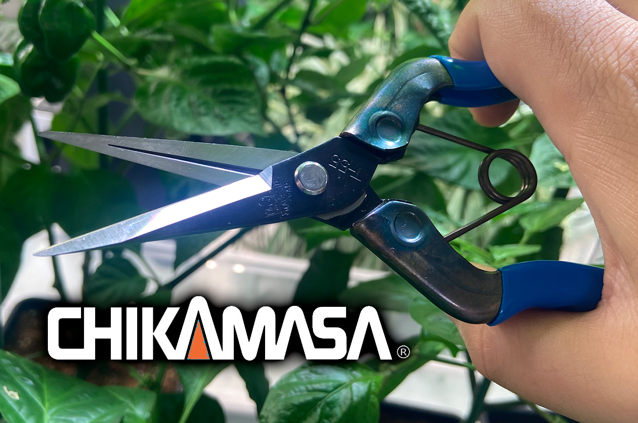 chika Why Choose Chikamasa Scissors for Trimming and Pruning? - The