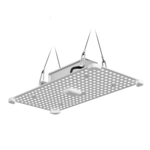 LUMii Black Blade 100W LED, Lumii, Propagation Lighting, LED Lighting, Propagation Lighting, Propagation Lighting, LED Lighting