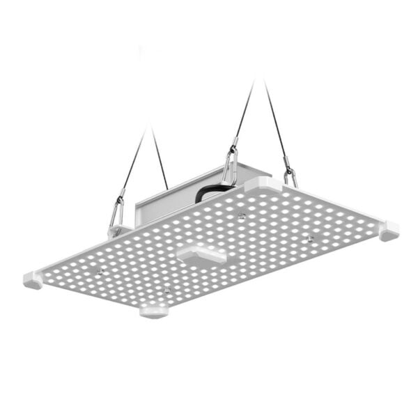 LUMii Black Blade 100W LED, Lumii, Propagation Lighting, LED Lighting, Propagation Lighting, Propagation Lighting, LED Lighting