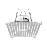 LUMii Black Blade 100W LED, Lumii, Propagation Lighting, LED Lighting, Propagation Lighting, Propagation Lighting, LED Lighting