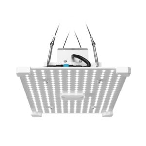 LUMii Black Blade 100W LED, Lumii, Propagation Lighting, LED Lighting, Propagation Lighting, Propagation Lighting, LED Lighting