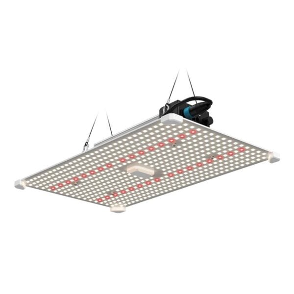 LUMii Black Blade 200W LED, Lumii, Propagation Lighting, LED Lighting, Propagation Lighting, LED Lighting