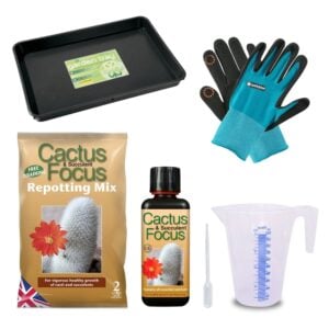 Cactus and Succulent Care Gift Bundle, Gift Bundles