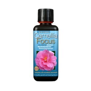 Camellia Focus 300ml, Growth Technology, Base Nutrients