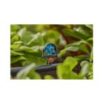 Gardena 6 in 1 Spray Nozzle, Drippers, Garden Irrigation Parts, Gardena, Drippers & Sprayers