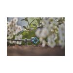 Gardena Adjustable Endline Drip Head, Drippers, Garden Irrigation Parts, Gardena, Drippers & Sprayers