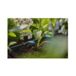 Gardena Adjustable Inline Drip Head 0–15 l/h, Drippers, Garden Irrigation Parts, Gardena, Drippers & Sprayers