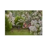 Gardena Endline Drip Head 2 l/h, Drippers, Garden Irrigation Parts, Gardena, Drippers & Sprayers