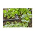 Gardena L-Joint 4.6 mm (3/16"), Pipe & Fittings, Garden Irrigation Parts, Gardena, Pipe & Pipe Fittings