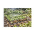 Gardena Micro-Drip-Irrigation Flower Bed Set 60m², Garden Irrigation, Gardena, Drippers & Sprayers