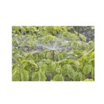 Gardena Spray Nozzle 360°, Drippers, Garden Irrigation Parts, Gardena, Drippers & Sprayers