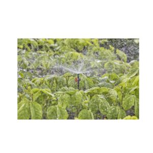 Gardena Spray Nozzle 360°, Drippers, Garden Irrigation Parts, Gardena, Drippers & Sprayers