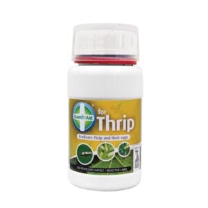 Guard n Aid for Thrip 250ml, Guard n Aid, Pest & Disease, Pest Control, Pest Control