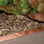 Copper Tape - Slug & Snail Repellent, Pest Control, Gardening Essentials, Greenhouse Essentials, Pest Control