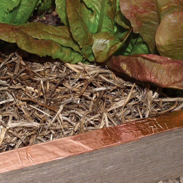Copper Tape - Slug & Snail Repellent, Pest Control, Gardening Essentials, Greenhouse Essentials, Pest Control