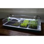 Vitopod Heated Propagators with LED Lights, Propagation Lighting, Propagators, Propagation Lighting, Propagation Lighting, Vitopod, Propagation Bundles, Propagation Bundles, Vitopod, Propagation Lighting, Vitopod