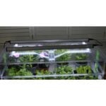 Vitopod Heated Propagators with LED Lights, Propagation Lighting, Propagators, Propagation Lighting, Propagation Lighting, Vitopod, Propagation Bundles, Propagation Bundles, Vitopod, Propagation Lighting, Vitopod