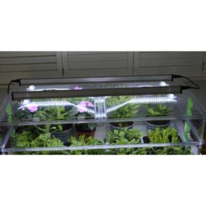 Vitopod Heated Propagators with LED Lights, Propagation Lighting, Propagators, Propagation Lighting, Propagation Lighting, Vitopod, Propagation Bundles, Propagation Bundles, Vitopod, Propagation Lighting, Vitopod