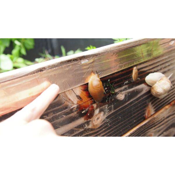 Copper Tape - Slug & Snail Repellent, Pest Control, Gardening Essentials, Greenhouse Essentials, Pest Control