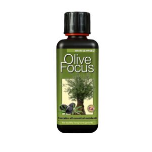 Olive Focus, Growth Technology, Base Nutrients