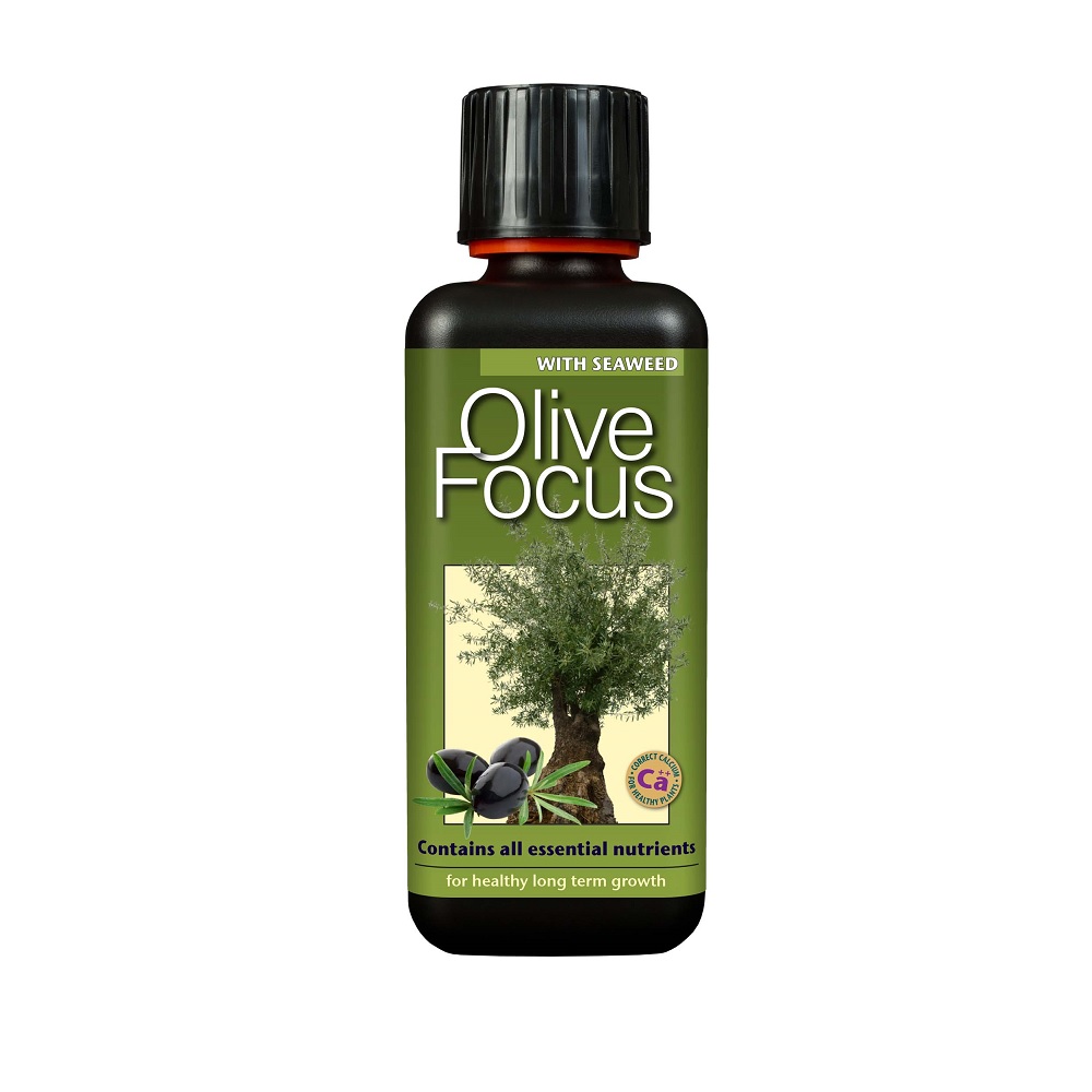 Olive Focus, Growth Technology, Base Nutrients