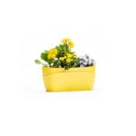 Plastia Flower Box Planter, Planters, Containers & Trays, Plastia, Plastic Pots and Trays
