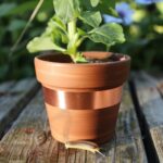 Copper Tape - Slug & Snail Repellent, Pest Control, Gardening Essentials, Greenhouse Essentials, Pest Control
