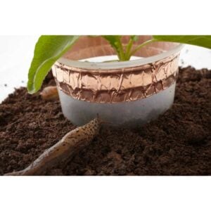 Copper Tape - Slug & Snail Repellent, Pest Control, Gardening Essentials, Greenhouse Essentials, Pest Control