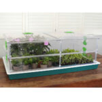 Vitopod Large Heated Propagators, Propagators, Vitopod, Nutriculture, Global Air Supplies, Propagators, Vitopod, Vitopod