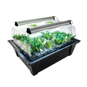 X-Stream Aero Propagator with Sunblaster LED's, X-Stream, Sun Blaster, Propagators, Propagation Lighting, Propagation Lighting, Propagators, Propagation Lighting, X-Stream, Propagation Bundles, Propagation Bundles, Aeroponic Propagators