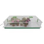 Vitopod Large - Green & White Base Heat, Vitopod, Vitopod