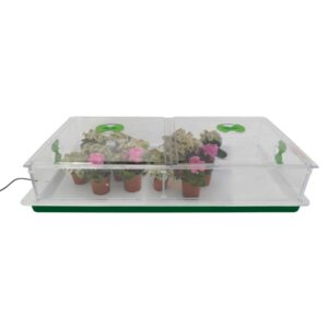 Vitopod Large - Green & White Base Heat, Vitopod, Vitopod