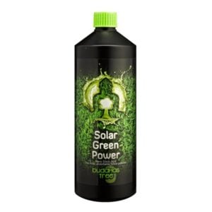 Buddhas Tree Solar Green Power, Buddhas Tree, Silicon, Additives