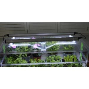 Vitopod Unheated Propagators with LED Lights, Vitopod, Propagation Bundles, Propagation, Propagators, Propagation Bundles, Vitopod