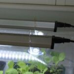 Vitopod Lighting Kits, Sun Blaster, Propagation Lighting, Vitopod, LED Lighting, Propagation Lighting, Propagation Lighting, Propagation Lighting, Vitopod, Vitopod