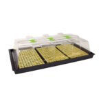 X-Stream Heated Propagators, X-Stream, Propagators, Propagators, X-Stream